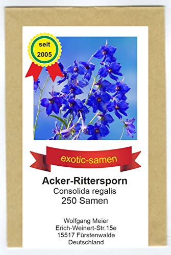 Acker-Rittersporn – Feldrittersporn – Consolida regalis – Insektenmagnet – 250 Samen