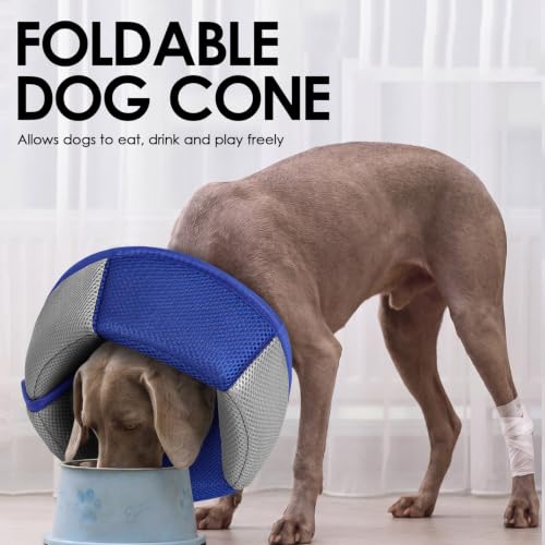 Image of AOFITEE Dog Cone - Soft Dog Cone Collar to Stop Licking, Adjustable Comfy Cones for Dogs After Surgery, Foldable Cones for Dogs Elizabethan Pet E-Collar for Medium Pets, Pet Recovery Collar, Blue M