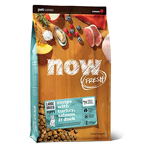 Now Recent Dry Canine Meals for Massive Breed Puppies Turkey Salmon and Duck Recipe 25 Lbs  Grain Free Pet Meals for Massive and Large Breeds  Cucciolini Doodles Now recent dry canine meals for massive breed puppies turkey salmon and duck recipe 25 lbs  grain free pet meals for massive and large breeds   cucciolini doodles