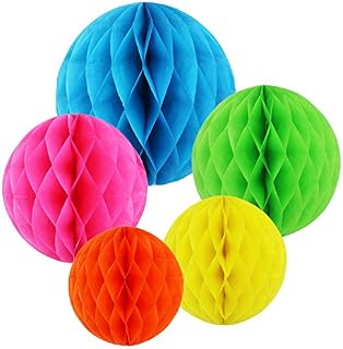 SUNSWEI 10PCS Rainbow Colors Honeycomb Tissue Paper Flower Balls, 10 Inch, 6 Inch Tissue Paper Pom-poms Flowers Craft Kit for Wedding Birthday Party and Baby Shower Decoration