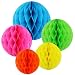 SUNSWEI 10 PCS 5 Colors 10 Inch, 6 Inch Honeycomb Tissue Paper Flower Balls, Tissue Paper Pom-poms Flowers Craft Kit For Wedding Birthday Party and Baby Shower Decoration