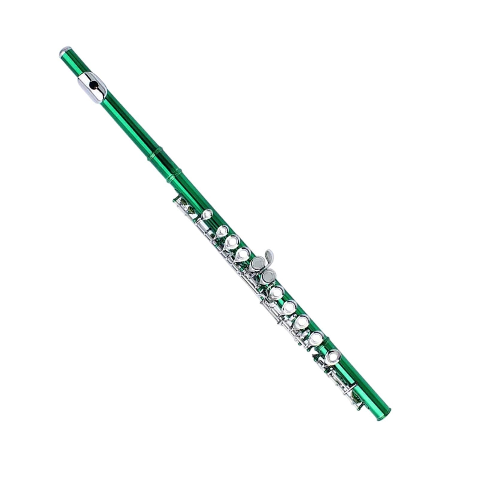 Classic Flet Poprzeczny 16 kluczowych zamkniętych otworów C Flet dla początkujących Instrumenty muzyczne Profesjonalna wydajność(Green)