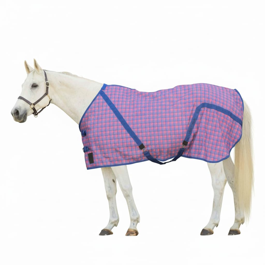 Equinavia Fryd 100% Cotton Stable Blanket for Horses | No Fill - Pink Flambe/Galaxy Blue - 78 in