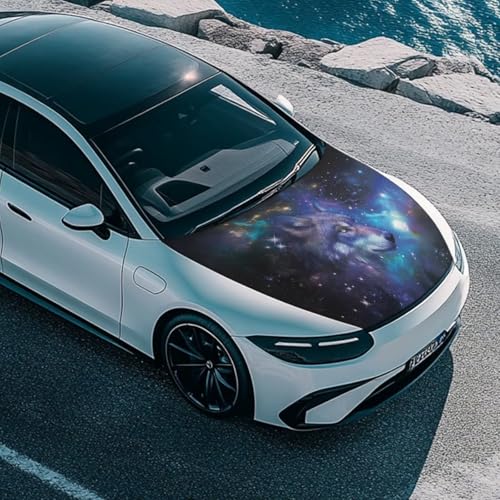 Image of Car Hood Cover Protector, an All-Weather Waterproof, Windproof Car Cover for Winter Frost and Ice Removal-Handsome Wolf