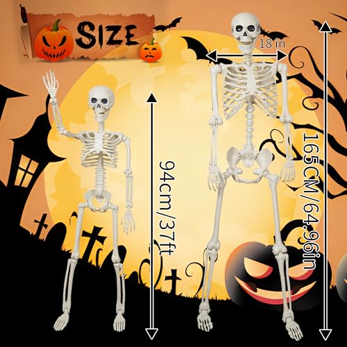 Image of Breesky Skeleton Model for Decoration: 5.4Ft & 3Ft Skeleton with Movable Joints - Plastic Human Bones for Party, Study