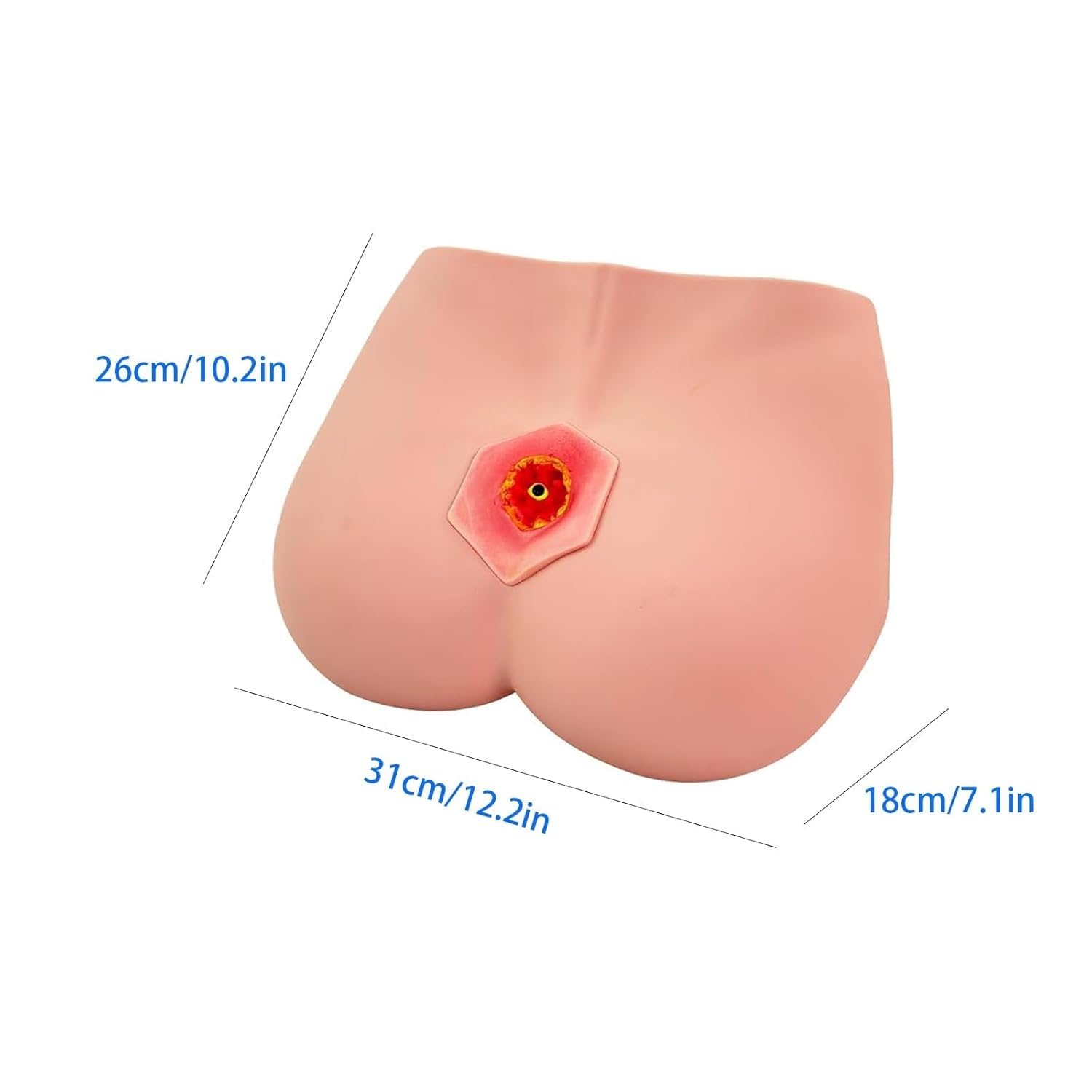 Decubitus Ulcer Training Model, Medical Students Decubitus Wound Care Kit, 4 Stages of Bedsores Pressure Sore Model, Simulator Teaching Model for Medical Training Practice.
