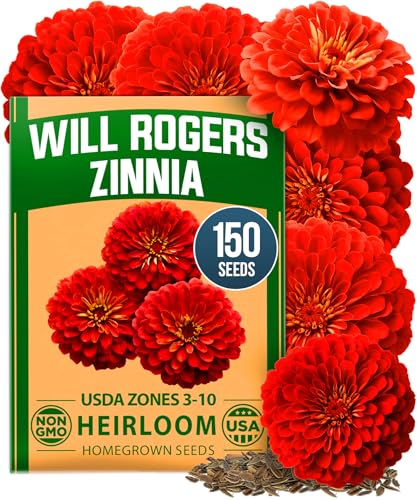 Image of HOME GROWN Will Rogers Zinnia Seeds - 150 Zinnia Flower Seeds for Planting Outdoors - Tall Zinnia Elegans Cut Flowers - Heirloom Non-GMO Zinnia Seeds for 2026