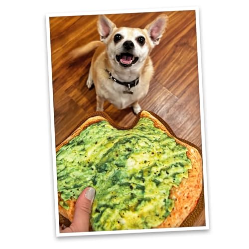 Image of Doggijuana Avocado Toast & Everything Bagel Dog Toy Bundle | 2 Pack | Refillable squeaky plush dog toy + organic calming catnip; eases anxiety, stress & storms; drug-free, hand-harvested