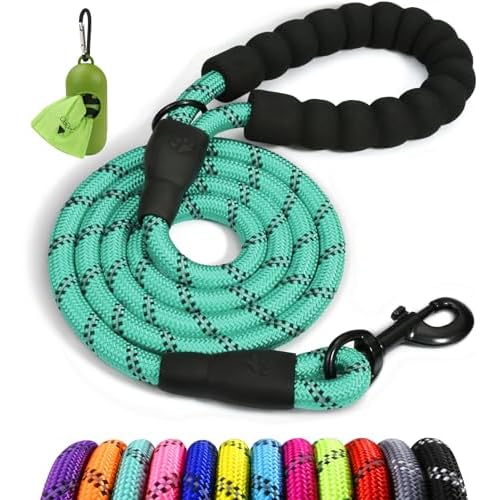 Taglory Rope Dog Leash 5 FT with Comfortable Padded Handle, Highly Reflective Threads Leash and Anti-Tangle Clip for Walking Small Dogs, 3/8 inch, Turquoise
