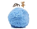 dipperdap Electronic Interactive Rolling Ball, Pet Toy, Exercise Ball for Dogs & Cats Perfect for Mental Stimulation, Non-Toxic, and Dental Safe Single Count(Blue)