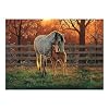 Cobble Hill 500 Piece Puzzle - Quiet Time - Sample Poster Included