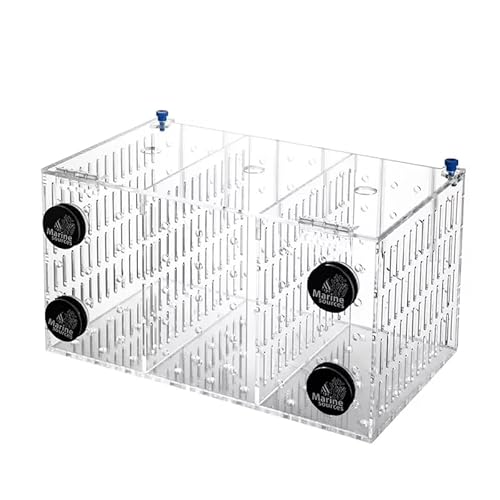 Marine Sources ΎANu{bNXbp}`t@NV{bNX (FSB-M-3B)