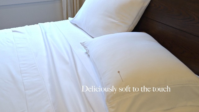 Jennifer Adams Eternal Sheet Set, 4-Piece Microfiber Seychelles Jennifer Adams Eternal Sheet Set, 4-Piece Microfiber Seychelles