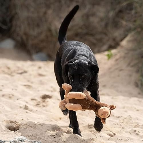 Petface Planet Carmel Das Kamel Plüsch-Hundespielzeug