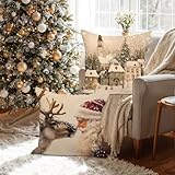 Zoom IMG-1 lanpn 4 pezzi federe cuscini Zoom IMG-1 lanpn 4 pezzi federe cuscini