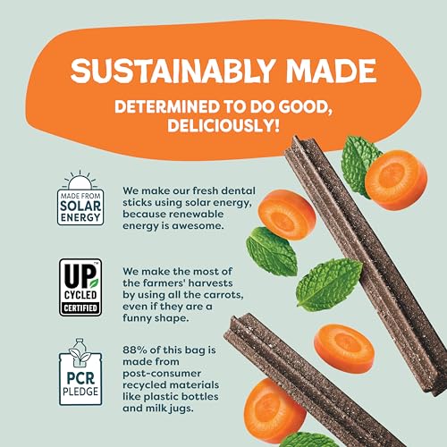 Image of Shameless Pets Carrot & Mint Dental Chews for Dogs, 32 Chews - Natural Dog Teeth Cleaning Treats with Fresh Breath Benefits | Grain-Free Dental Sticks for Small, Medium & Large Dogs