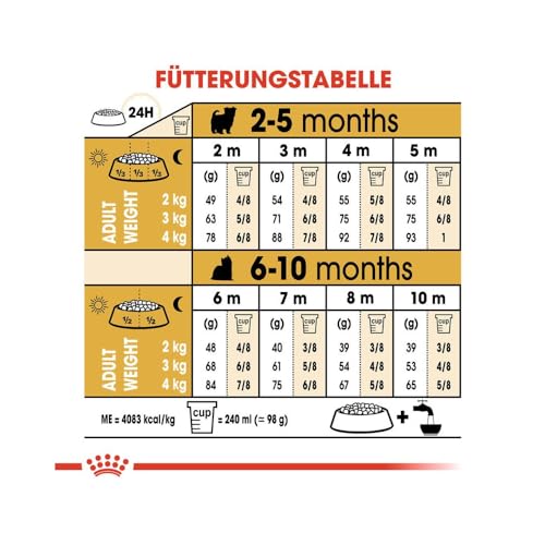 ROYAL CANIN Yorkshire Terrier Puppy Trockenfutter | Speziell für Yorkshire Terrier Welpen bis zum 10. Monat | Unterstützung der körpereigenen Abwehrkräfte | 4er Pack | 4 x 500 g