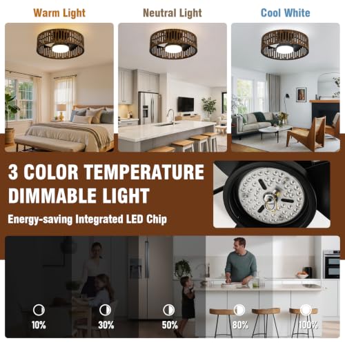 Image of fandelier ceiling fan with light,low profile ceiling fans with led lights,boho ceiling fan,farmhouse 20 inch caged bladeless ceiling fan with remote for Bedroom Kitchen Kid's Room