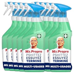 Spray Nettoyant Multi-Usages Mr. Propre, Grand Format