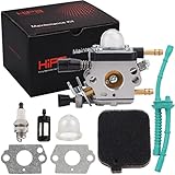 Hipa BG55 Carburetor 4229 120 0606 for STHIL BG85 BG65 BG45 BG46 SH85 SH55 SH55C SH55Z SH85C SH85DZ SH85Z BG46DZ BG46Z BG55Z BG65DZ BG65Z BG85DZ BG85Z Leaf Blower C1Q-S68