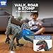 STEAM Life Remote Control Large Velociraptor Dinosaur Toy for Kids – Realistic RC Dino with Sounds, Lights & Walking Action – Rechargeable Raptor Toy for Boys & Girls