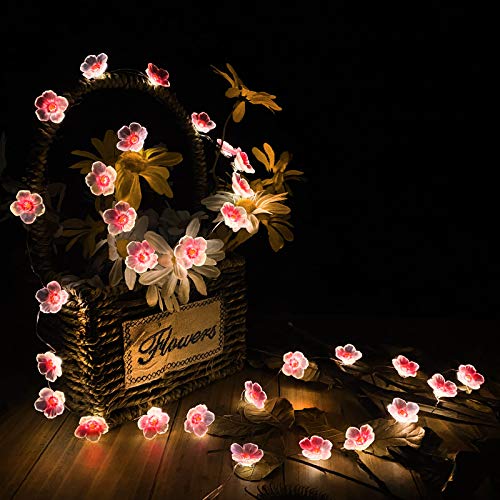 Cherry Blossom Flower String Lights 40 Led 13Ft Pink Sakura Decorative Lights Battery Operated Light With Remote, Christmas Novelty Fairy Light For Girl Bedroom, Party, Garden (Warm White, 13) #TOP4