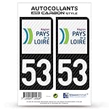 blasonimmat 2 Stickers Plaque immatriculation Auto 53 Pays de la Loire - LT Carbone-Style
