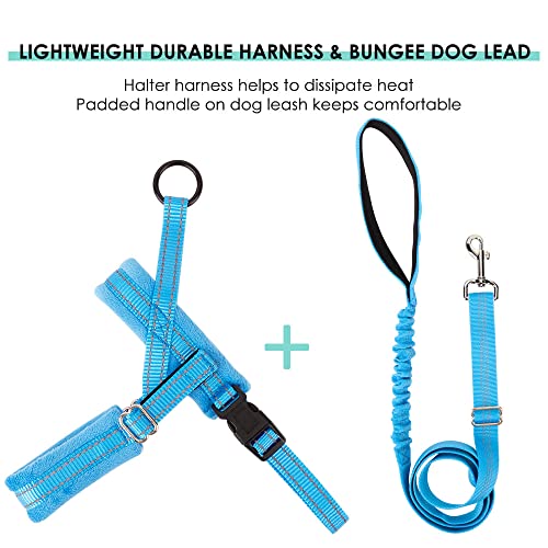 Eyein Dog Harness Small Dog, Anti Pull Heavy Duty Dog Harness and Lead Set - Image 4