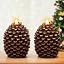 Pinecone Brown