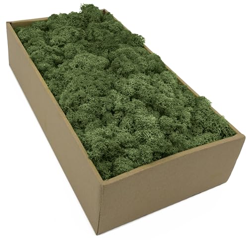 Islandmoos - Moos in 5 versch. Farben 250gr / 500 gr / 1Kg echtes konserviertes Natur Moos zum Moosbild basteln Deko und Modellbau (Moosgrün 100 gr)