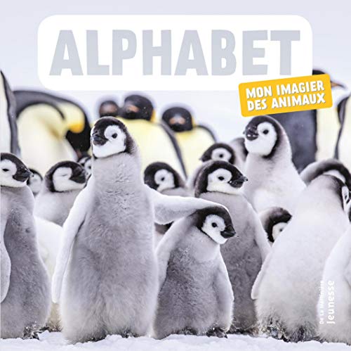 Alphabet: Mon Imagier des animaux