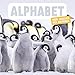 Alphabet. Mon Imagier des animaux
