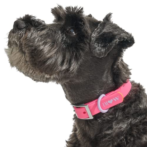 Wild One, Limited Edition, Designer Collection, Pink Dog Collar, Easy-Clean, All Weather Flex-Poly Strap with Metal, Durable, Dirt and Odor Resistant, XL