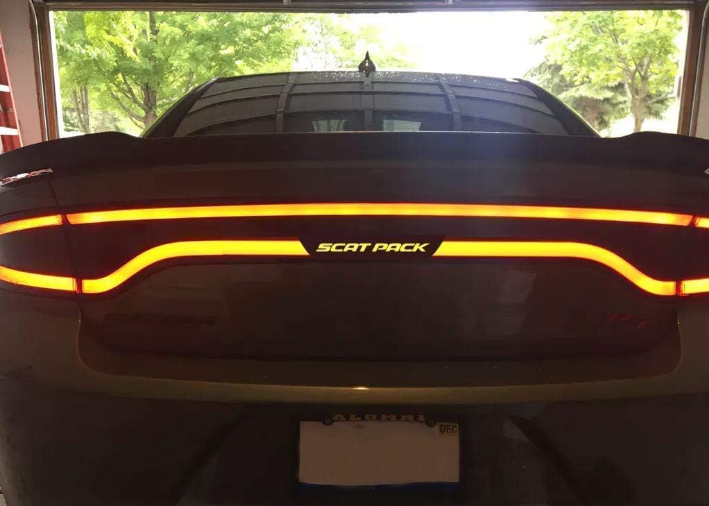 Your Custom Text Made to fit Charger Rear Tail Light lamp Accent | Text, Hashtag | 2015 2016 2017 2018 2019 2020 2021 2022 2023 2024 2025 2026 Charger