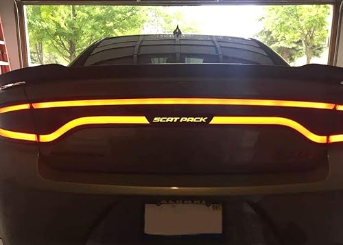 Miniatura 6 de YOUR CUSTOM TEXT made to fit Charger rear tail light lamp accent | text, hashtag | 2015 2016 2017 2018 2019 2020 2021 2022 2023 2024 2025 2026