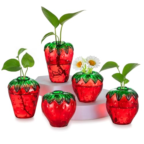 Glass Strawberry Propagation Vases for Plants: 5PCS Cute Strawberry Decor for Home Kitchen Bathroom Office - Unique Indoor Hydroponic Planters Gifts for Mom Women Mothers Day (Red)