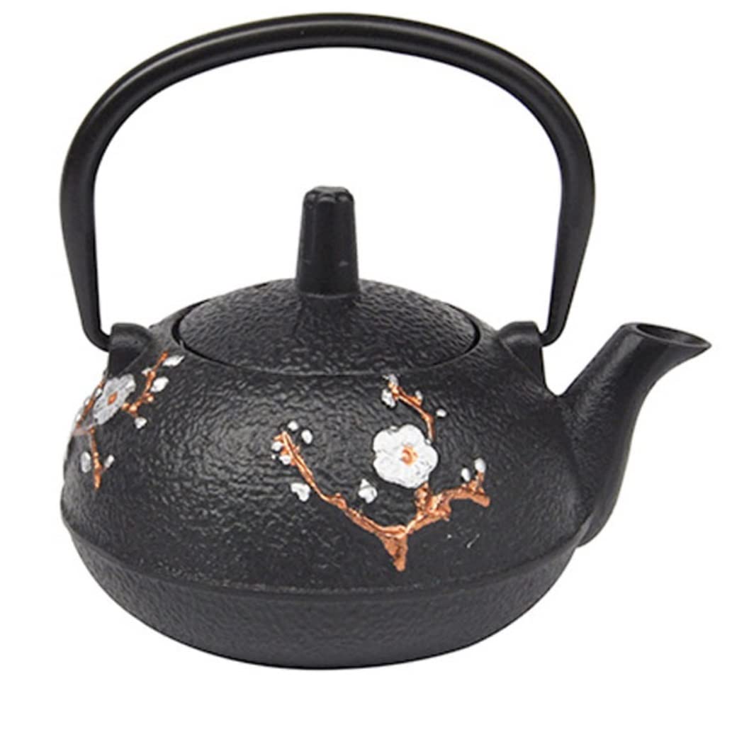 Théière en fonte 300ml pour une pause thé relaxante à la maison