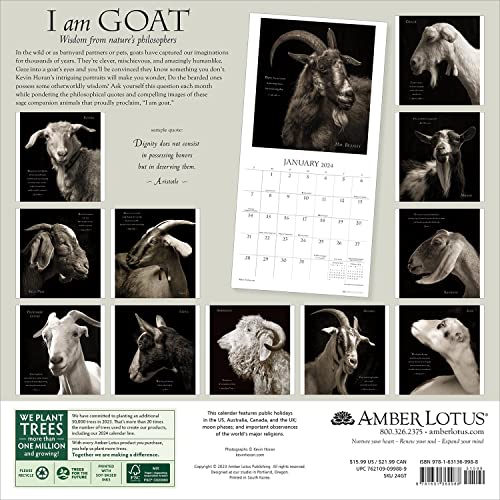 I Am Goat 2024 Wall Calendar: Animal Portrait Photography by Kevin Horan and Wisdom From Nature's Philosophers | 12" x 24" Open | Amber Lotus Publishing 512TB2QNSbL. SL500 - I Am Goat 2024 Wall Calendar: Animal Portrait Photography by Kevin Horan and Wisdom From Nature's Philosophers | 12" x 24" Open | Amber Lotus Publishing