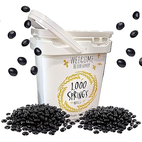 1000 SPRINGS MILL - 25lb Bulk Bucket Organic Black Beans - Used for Soups, Salads, Chili, Dips or Various Breakfast Dishes - Bulk Dry Black Beans - Vegan Friendly Cover
