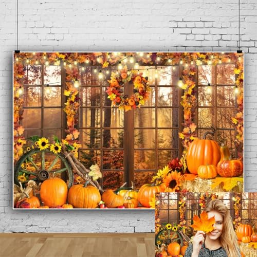 Toile de fond photo automne pour masquer un mur et réussir sa fête