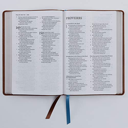 Net Bible, Thinline Large Print, Leathersoft, Brown, Comfort Print: Holy Bible