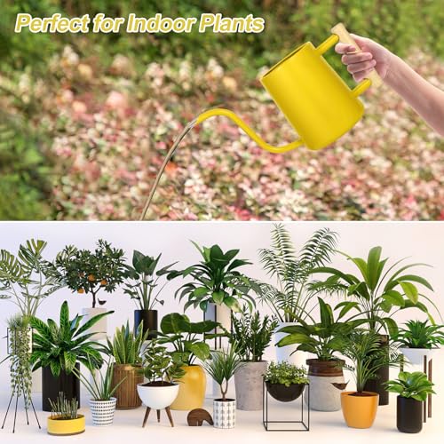 Image of Watering Can Indoor Plants, 35 oz /1000 ml Metal Stainless Steel Watering Can Pot with Long Spout for Indoor House Plants Bonsai Outdoor Garden Flower Decorative (Yellow)