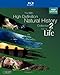 The BBC High-Definition Natural History Collection 2 (Life / Nature's Most Amazing Events / South Pacific / Yellowstone) [Blu-ray]
