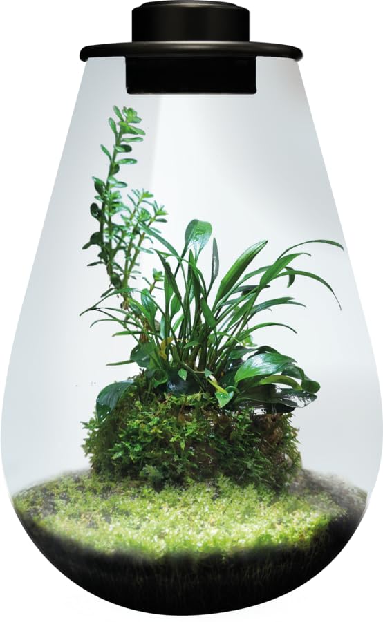 BioArt Drop 285, Garden LED Nano, High Quality Glass, 5.1L, with 5W Adjustable LED Lighting, Timer and Fan, 285 x 200 mm (Black)