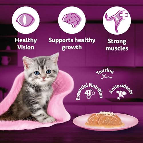 Image of Whiskas Junior Kitten (2-12 Months) Wet Cat Food, Chicken with Salmon in Jelly, 80 g x 28, Hydrating Food Made with Real Fish, 100% Complete & Balanced Nutrition for Kittens