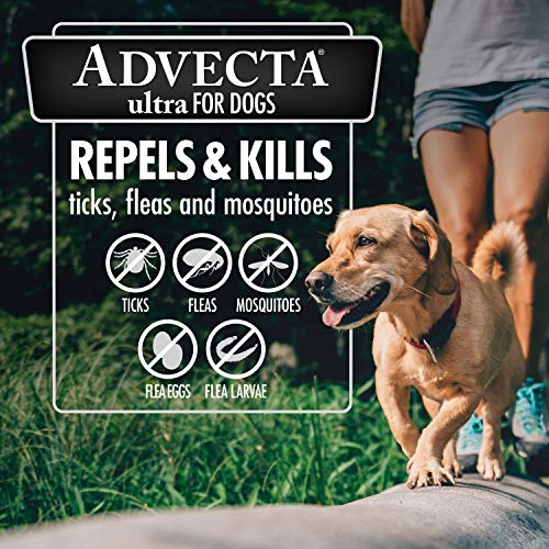 image for Advecta Ultra Flea and Tick Topical Treatment, Flea and Tick Control F