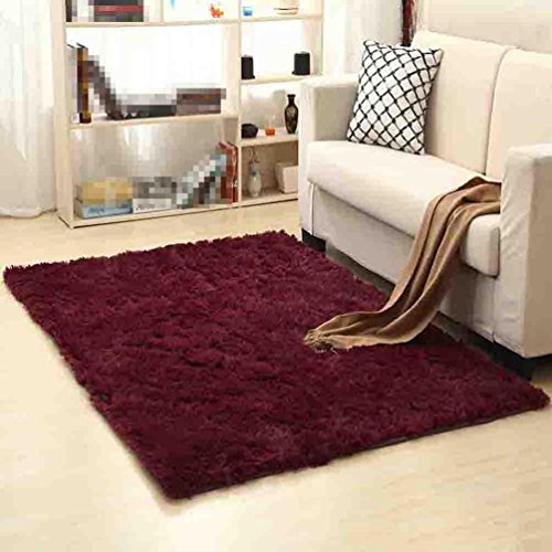 FUHOAHDD Carpet living room coffee table bedroom bed blanket mat anti-slip bathroom mat, 80 * 120cm