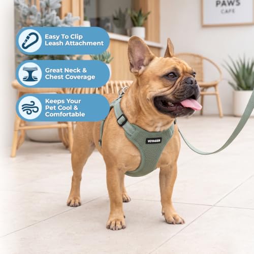 Image of Best Pet Supplies Voyager Adjustable Step-in Flex Breathable Mesh Dog Harness for Small Medium Large Dogs Leash Set (Moss Green), XS