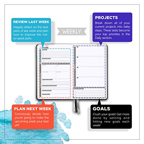 Panda Planner - 2023 Daily Planner, Calendar And Gratitude Journal To Increase Productivity, Time Management & Happiness - Hardcover, Undated Day - 90 Day Planner - Guaranteed (Purple) #TOP2