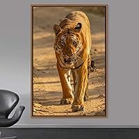 Framed Canvas Wall Art Tiger Animals Chic Dramatic Lion Living Room Multicolor Photography - 16x24 inches